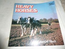 Heavy horse edward for sale  NOTTINGHAM