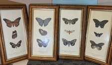 Vintage grafiche tasgotti for sale  Long Beach
