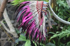 Réplica de cocar indiano infantil de todos os tamanhos feita com galo rosa e natural  comprar usado  Enviando para Brazil