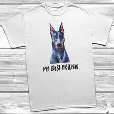 Best friend doberman for sale  SOUTHPORT