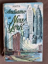 Andiamo new york usato  Fidenza