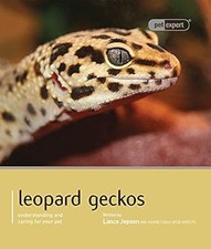 Leopard gecko pet for sale  UK