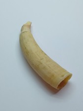 Vaso URSS réplica plasticina branca plástico raro bom estado comprar usado Vaso URSS réplica plasticina branca plástico raro bom estado comprar usado  Enviando para Brazil