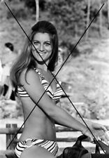 Photo sheila d'occasion  Toulouse-