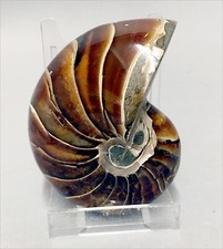 Really attractive polished for sale  MARKET RASEN