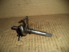 Beta camoscio albero usato  Salerno