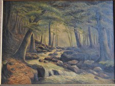 Hahnke harz waldzauber gebraucht kaufen  Mülheim an der Ruhr