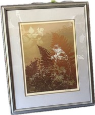 Roger berghoff serigraph for sale  Lees Summit