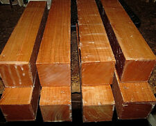 Eight black cherry for sale  Brazil