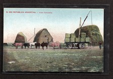 Argentina farm hay for sale  Saint Paul
