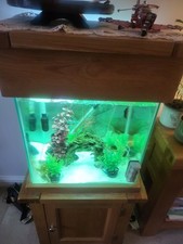 Aquarium set for sale  CLACTON-ON-SEA