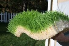 Complete chicken wheat for sale  Russell