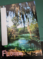 Florida usa karlsruhe gebraucht kaufen  Struxdorf