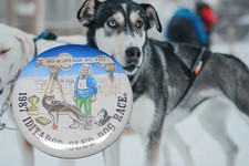 Vtg 1987 iditarod for sale  Willow