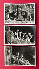 Foto hamburg stellingen gebraucht kaufen Foto hamburg stellingen gebraucht kaufen  Dresden