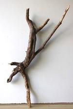 Treibholz schwemmholz driftwoo gebraucht kaufen  Halblech