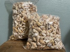 énorme gros lot d'occasion  Biganos