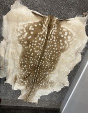 Genuine deer skin for sale Genuine deer skin for sale  DONCASTER