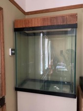 Custom fishtank for sale  NORWICH
