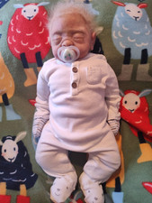 Silicone cuddle reborn for sale  Ghent