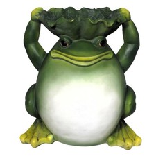 Fat frog garden for sale  Phoenix