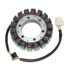 Electrosport statore alternato usato  Vobbia
