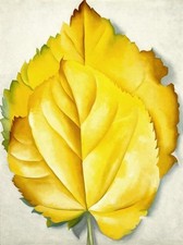 Georgia keeffe yellow for sale  Milwaukee