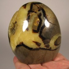 septarian stone for sale septarian stone for sale Acworth