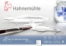 Hahnemühle aquarellblock harm gebraucht kaufen  Cottbus