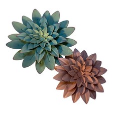 Green pink succulent for sale  Salt Lake City