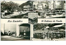 06. lucioles.st dalmas d'occasion  Expédié en Belgium