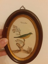 Piccolo quadretto arte usato  Alessandria