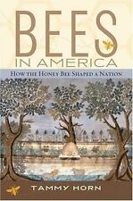 Bees america honey for sale  Aurora