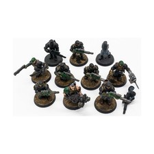 Cadian shock troops for sale  Madison