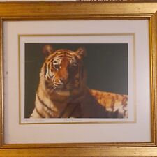 Stephen gayford highness for sale  ILFORD