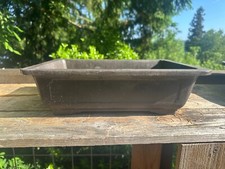 Brown mica bonsai for sale  Gig Harbor