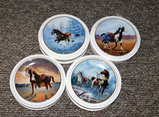 Warrior pride horse for sale  Lafayette