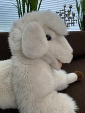 Schaf sigikid west gebraucht kaufen Schaf sigikid west gebraucht kaufen  Pulheim