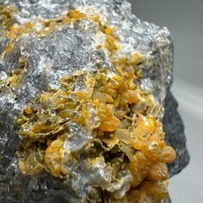 Fine crystallized calaverite for sale  Denver