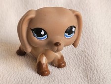 Hasbro littlest pet for sale  KETTERING