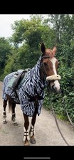 Fly mesh zebra for sale  MANCHESTER
