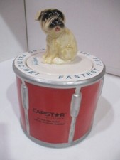 French bull dog for sale  Fort Lauderdale
