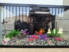Gallon fish tank for sale  Del Valle