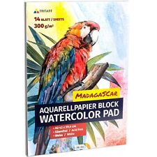 Aquarellpapier din 300g gebraucht kaufen  Großbeeren