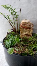 Zimmerbrunnen dekorativem echt gebraucht kaufen  Alzenau