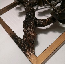 Unikat geldbaum crassula gebraucht kaufen  Berlin