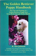 Golden retriever puppy for sale  North Smithfield