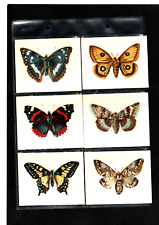 Butterflies moths full for sale  UK