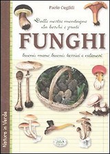 Funghi dalle nostre usato Funghi dalle nostre usato  Roma