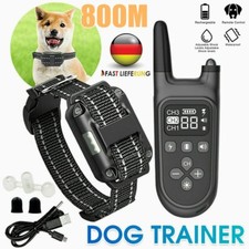 Hund ausbildung erziehungshals gebraucht kaufen  Aspisheim, Grolsheim